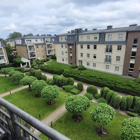 Capuccino * 소포트